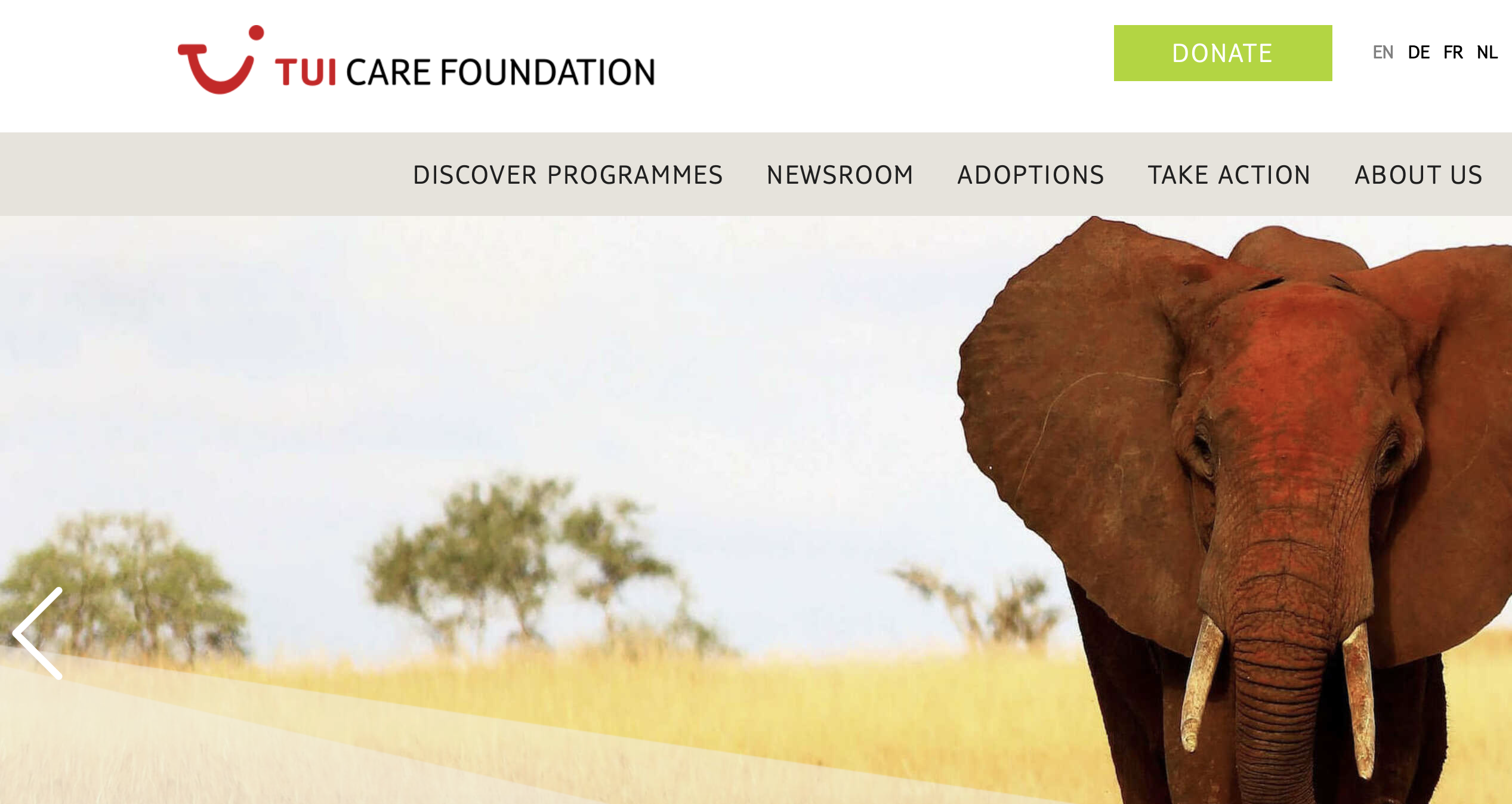 TUI Care Foundation Donates €10,000 to Travel Magical Morocco for Assistance after Earthquake in Moroccan Mountains